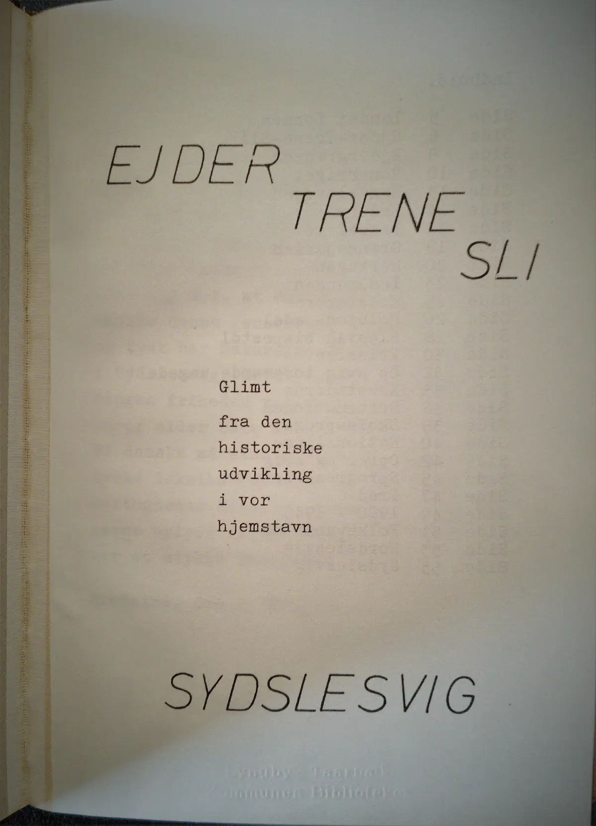 Et par tegninger af Slesvig